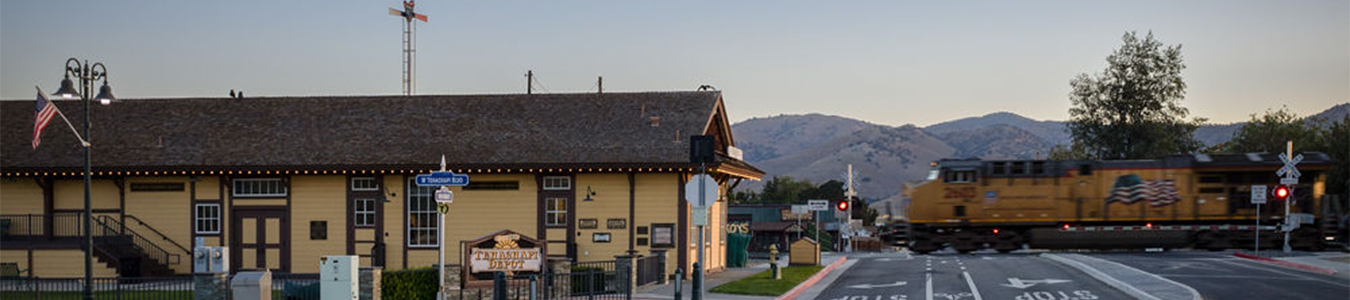 depot with train